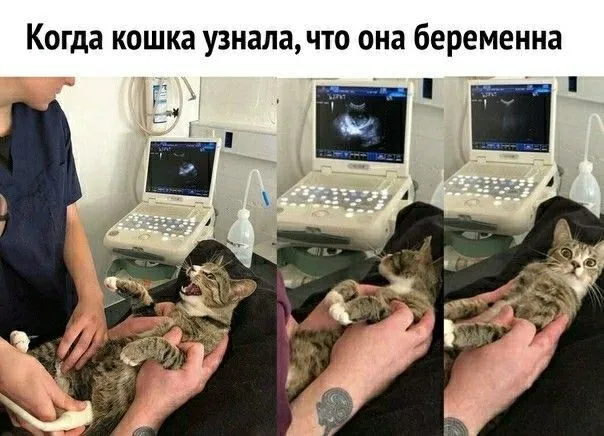 62457c94b19c471e566908668f66379f.webp