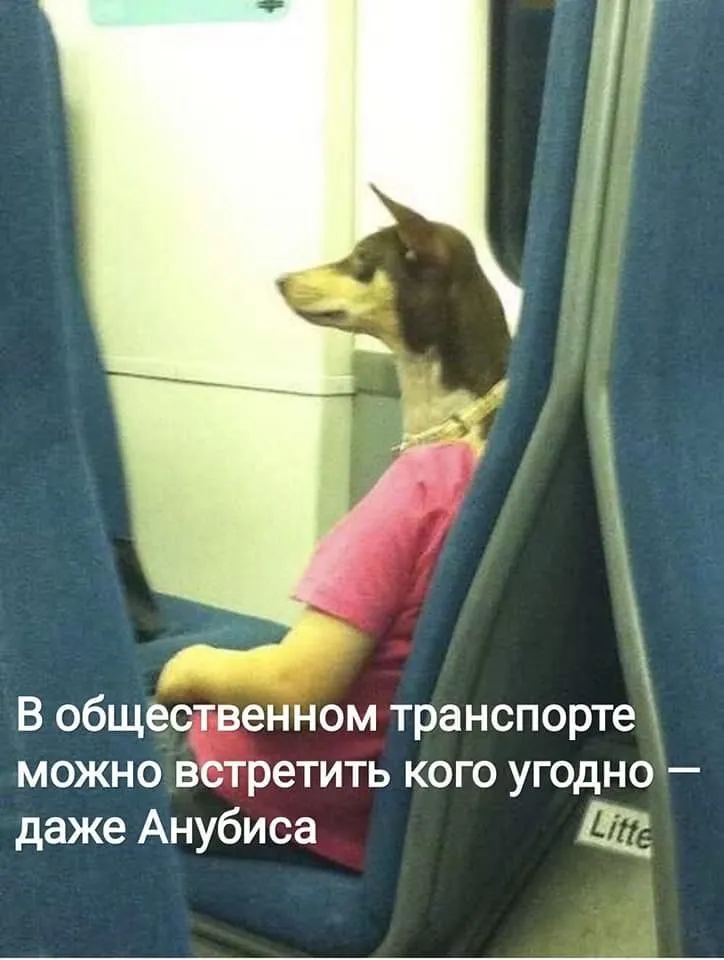 626EC786-062C-4AE5-9DDA-5A0E70E70272.webp