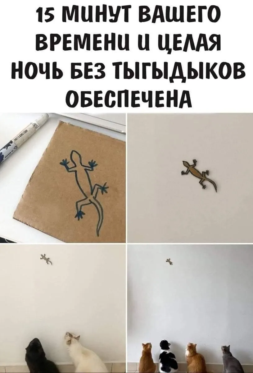 628680C9-B8B1-48EC-8DE8-DFFF7EBFAB25.webp