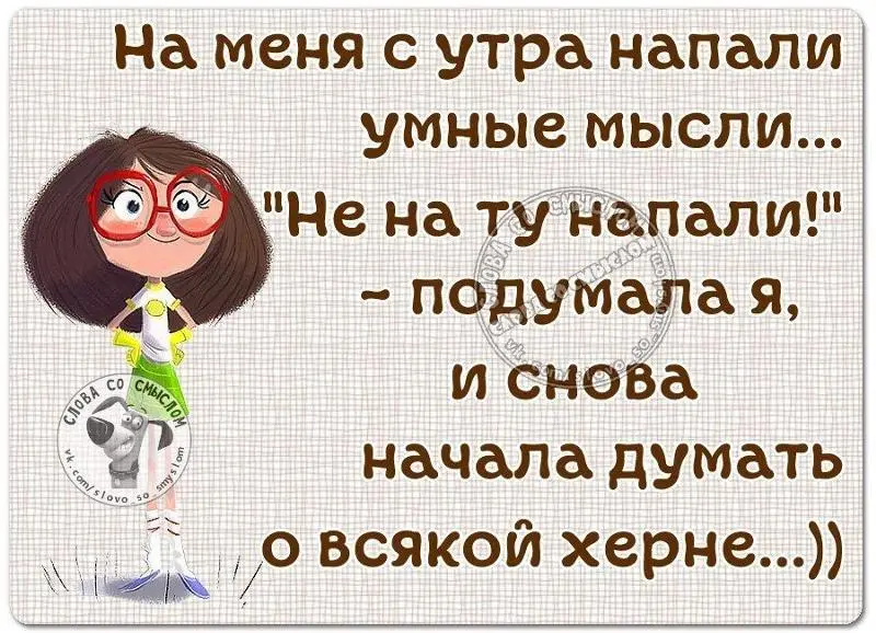 63997297_223919937ca83c7ead742fa3fab4b727_800.webp