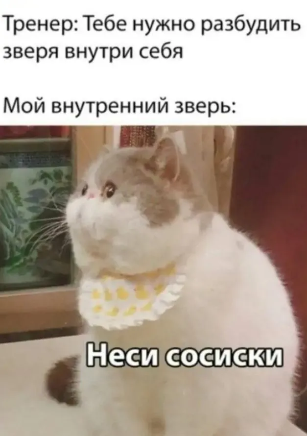641a3c9f385b7bfaf8248cf00998ca5c.jpg