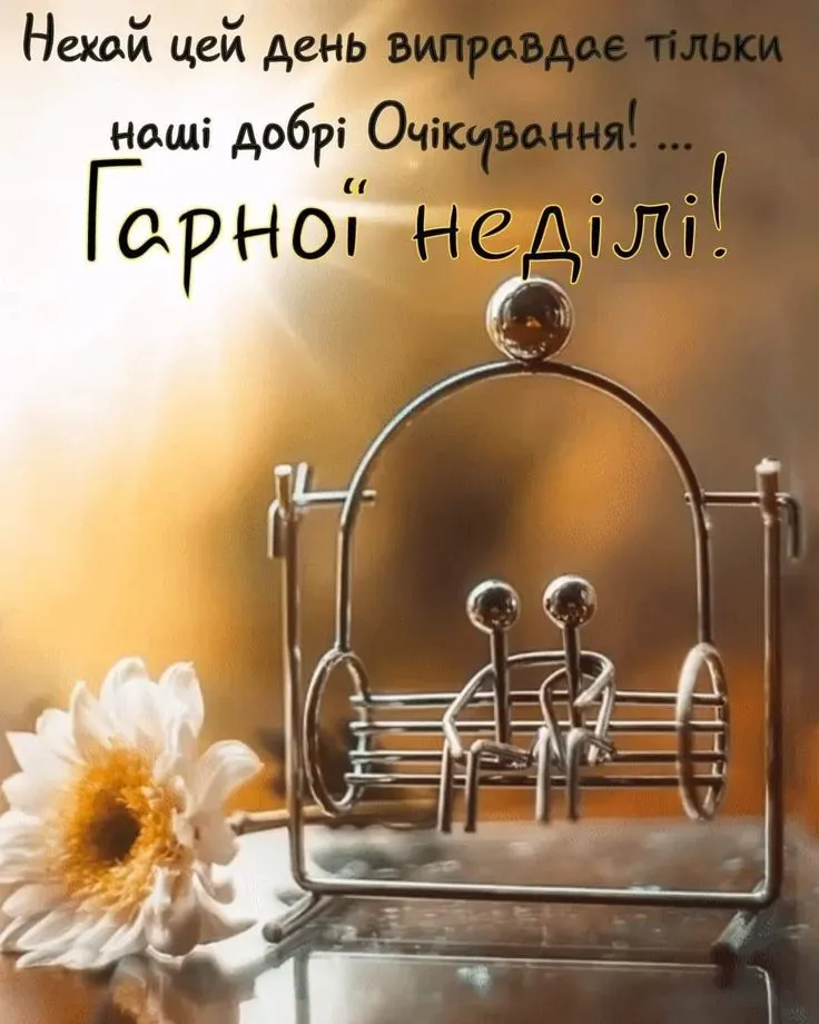 64376233957423001a4deabca9713dd3.webp