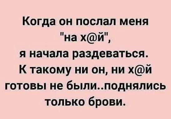 65ee16fe-e7fa-4a1a-850e-f95f00f69f9a.webp