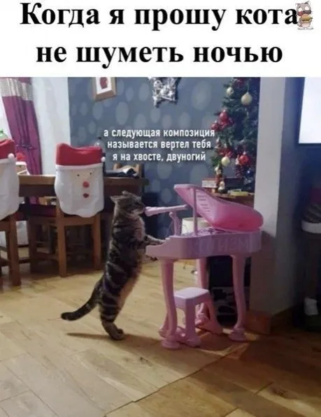 65f7c231d6b39b45c4eabb49420626da.webp