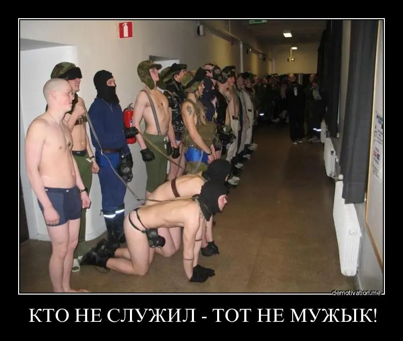 66ky4s6kgt1c.webp