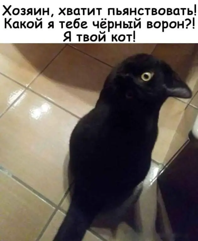 6794ab165870f9abfbec1a27e363c4c4_8qszdjr3_ug.webp