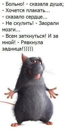 681acf6f870fc6b01b93b6c42f2c537a.webp