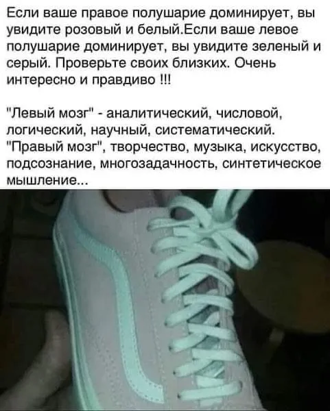 69D6895D-DD94-40DA-AD1C-2EAE94C16425.jpeg