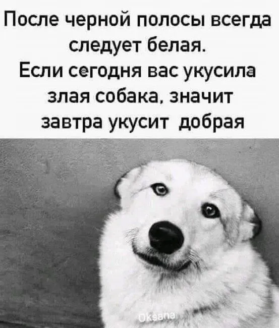6ACB8A41-8E94-4D5C-89EE-D714044F33BB.jpeg
