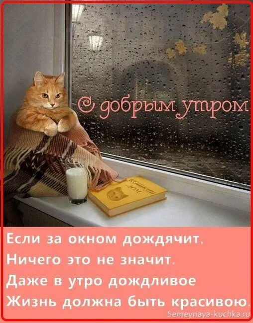 6ca99b5366c04261bac640de274910ef.webp