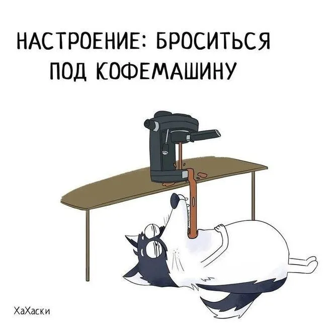 6eebaf89f6abd926a1e299f8da64a1ee.webp