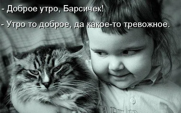 6qg0fBubcLk.webp