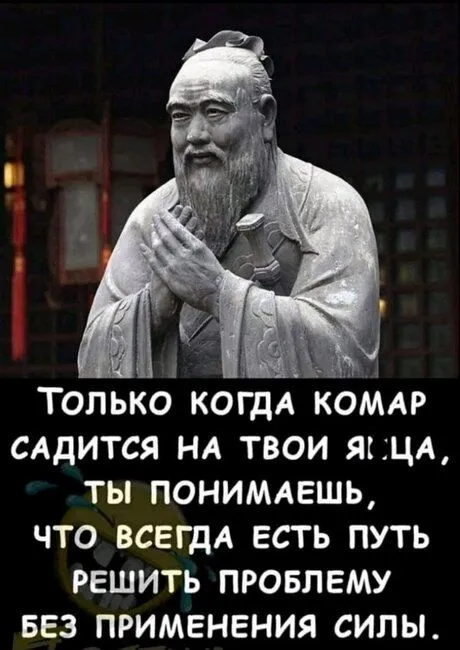 702F1230-2406-44DF-91D1-FDE417B2F329.webp