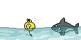 70425748.gif