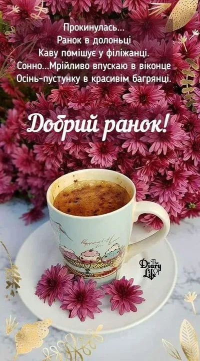 70458277_1372848549532325_5527938074652180480_o.webp