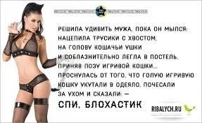71fa35bac21587fccfb558f89b22fa9f.webp
