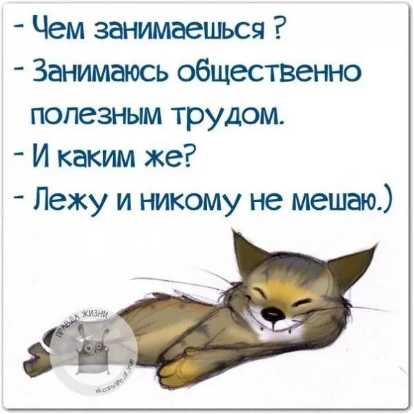 7337991829611f878b245cbb69d66e31.webp