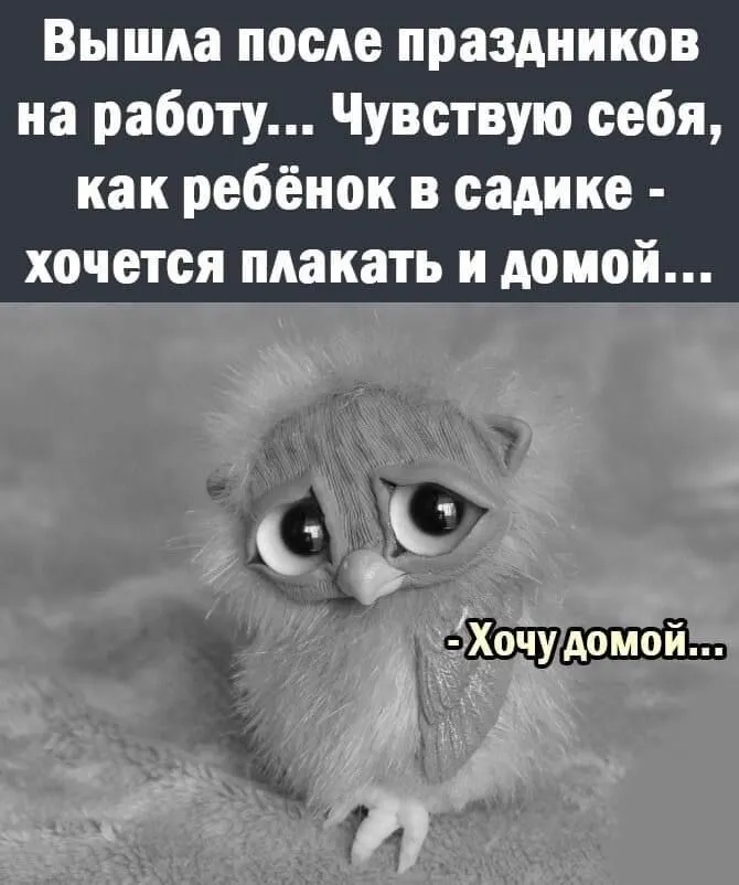 74078609-146F-4D71-A861-B495123A7ED2.jpeg