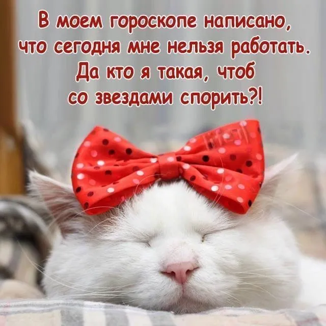 7565d2abc27496c85b6a834d2e5c15d9.webp