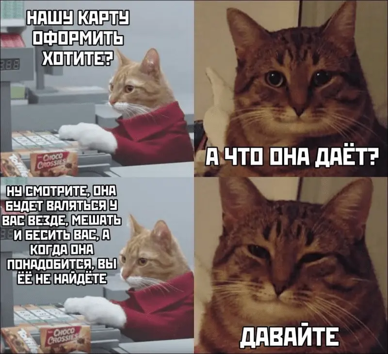 78532313_2917684214984350_498901060346183680_n.webp