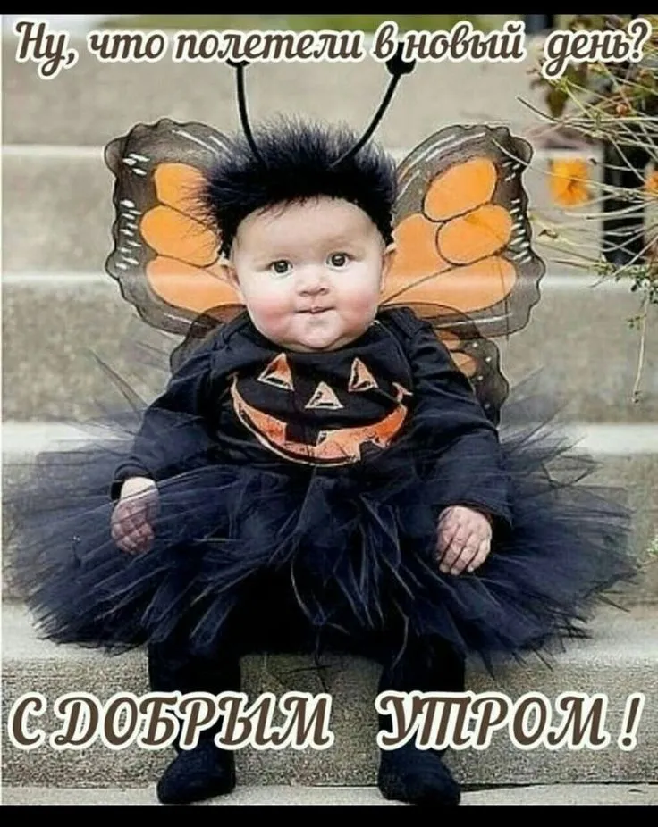 7ae6d14b18066d265828e187659cb0ac.webp