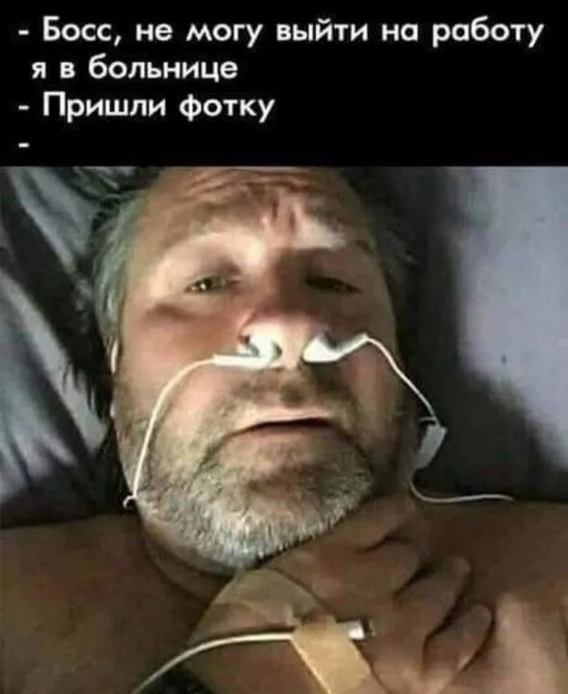 7c6c68d1e47bf36a47196a0260055310.webp