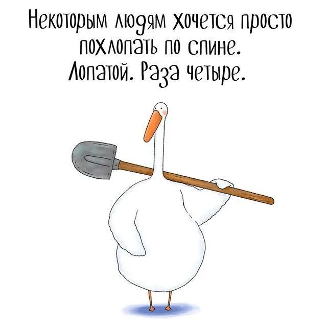 7f7722f2abf29c9ede04725912aead13.webp