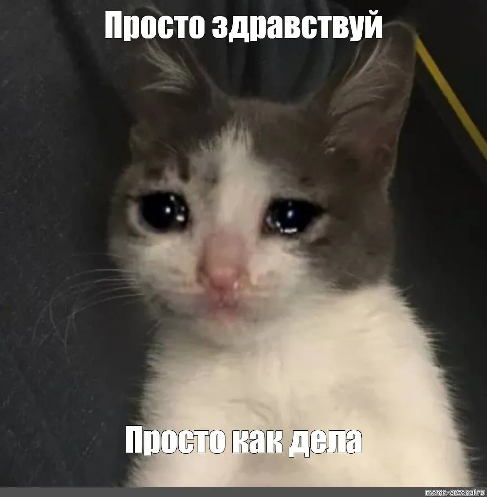 7fc8ca79777b0a1d9b2343f9576a4410.webp