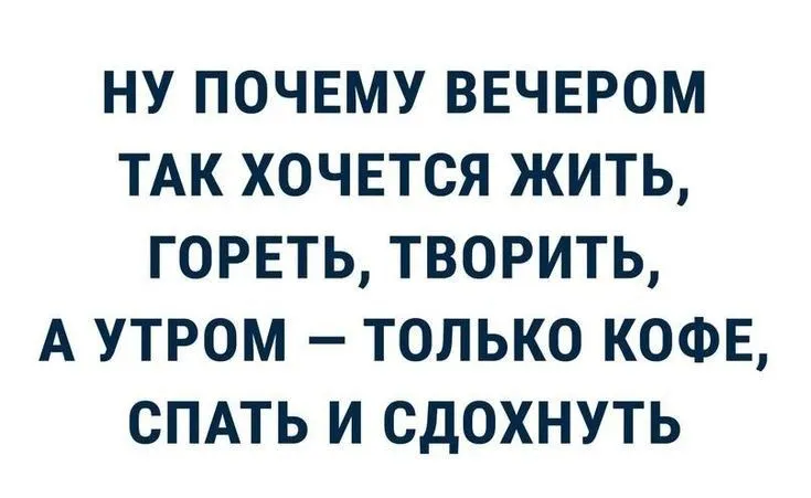 8232bcd967ccfc9e70a24f9c0990d9ab.webp