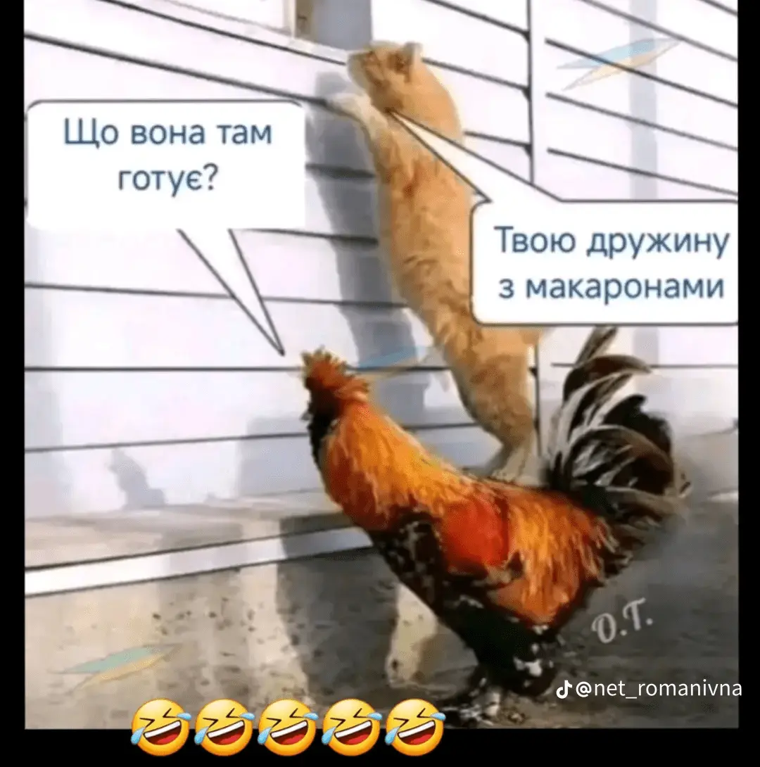 82617837b202cb075342a220d4446bb3.webp