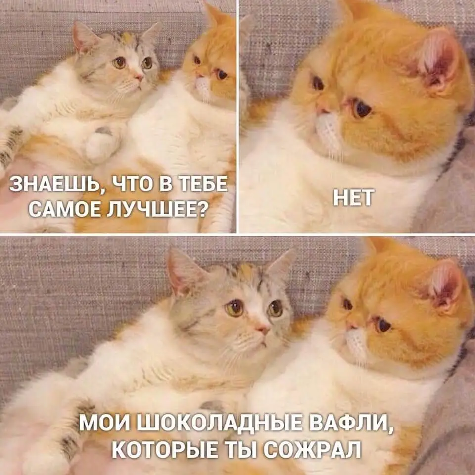 82966047_544969052772761_8988725067097571328_n.webp
