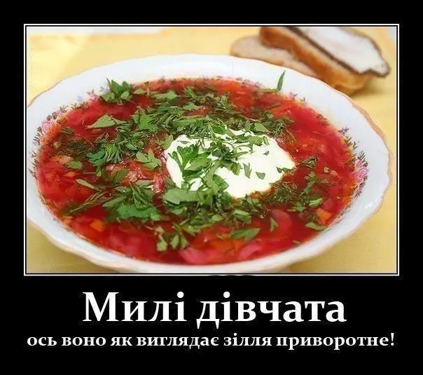 82a87d0ee83ea76522f898321e4c6a87.webp