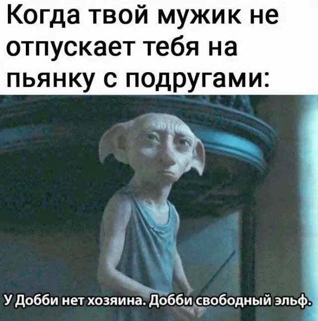 82ac8fe3777224dfdf14311cfb562289.webp