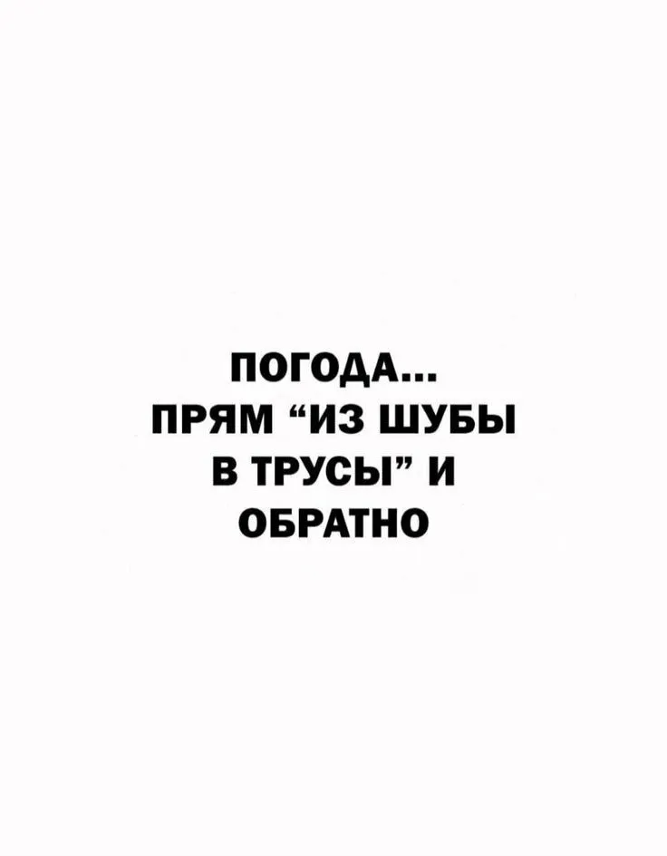 8891b754093a97e1efc406ccdd87a8ad.jpg