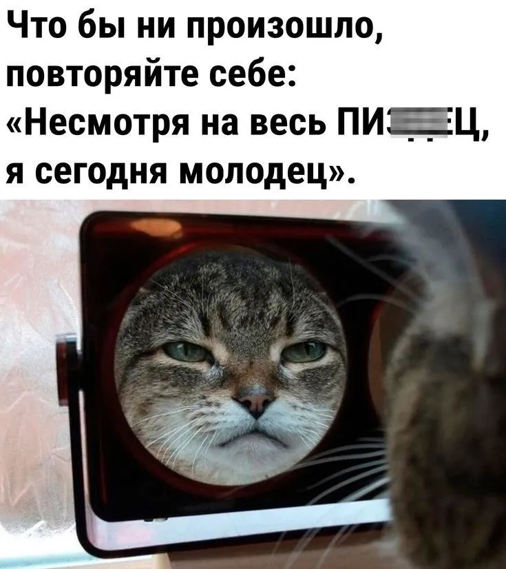 8943fb7da696afb98c71e8beaf4e1682.webp