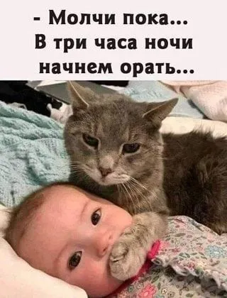 8cb42c4396003df86d0965b129819760.webp