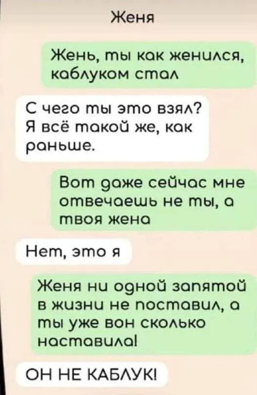 93FFE612-C575-4581-A58A-D246E0257A3A.webp