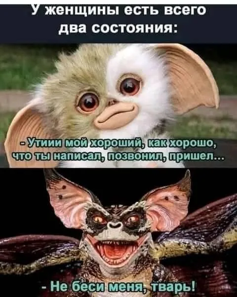 95D50104-5937-4CD5-A6B9-273DFFC65E92.webp