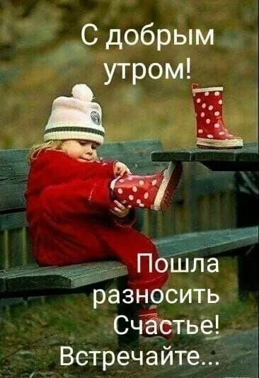 987d98db431d132cd06c316098d247f2.jpg