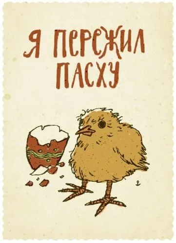 98e75dd4730e.webp