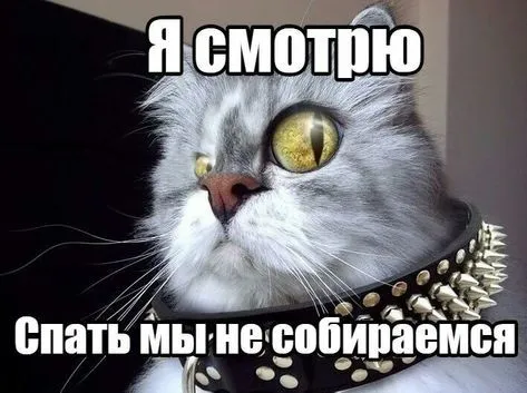 98fdbb2e83b67fd35acc0399488a1519.webp
