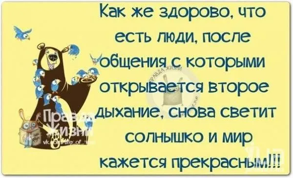 991234f77444212d9b4a257129cae3eb.webp