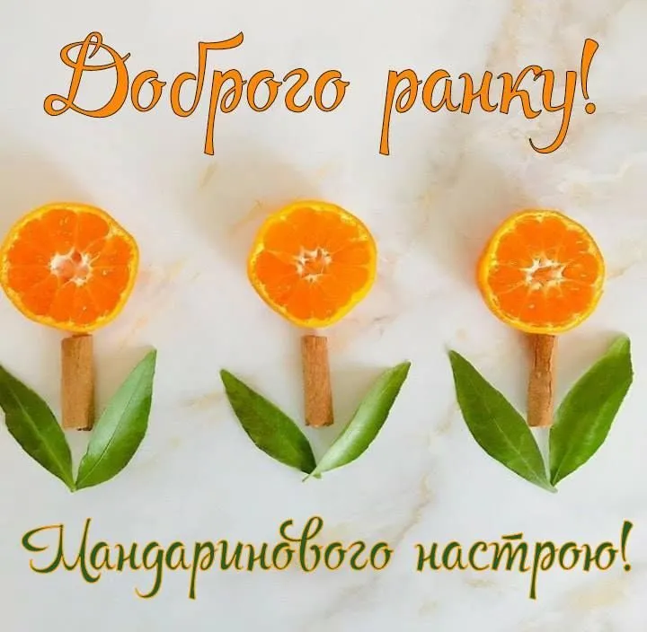 99c672c361038c67429670db64b968f3.webp