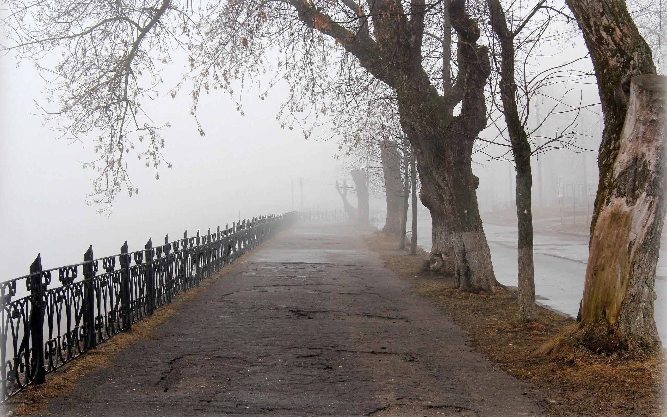 99px_ru_wallpaper_139451_tuman_v_gorodskom_parke_osenu_v_tveri.webp