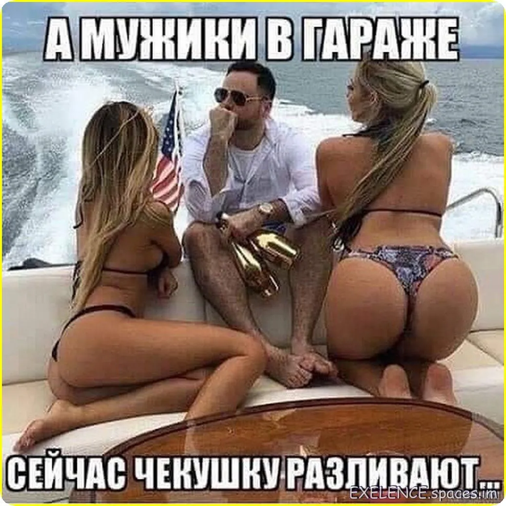 9ap_(11)-world73.spcs.bio.webp