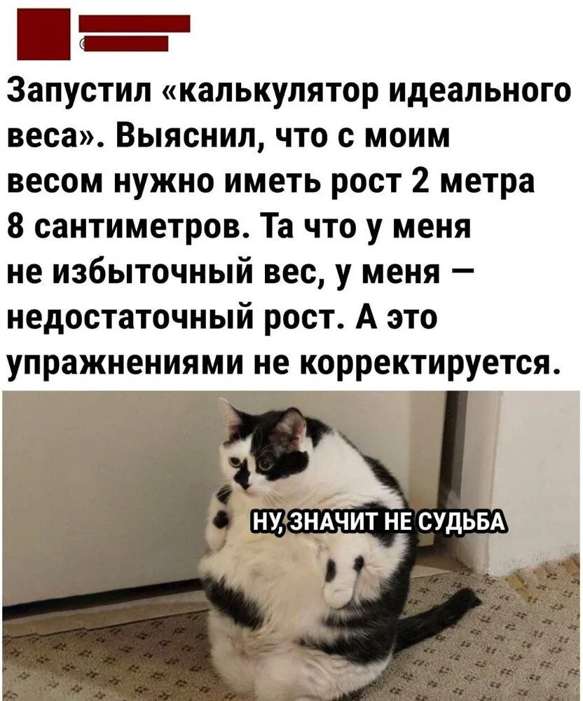 9c24008e4b8d08159a86d82862c0d9d27df0a3a1da83ada71c2c1e874e731565_1.jpg.webp