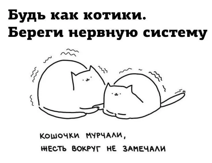 9c37258d31e2edc27960464ad7af5f37.webp