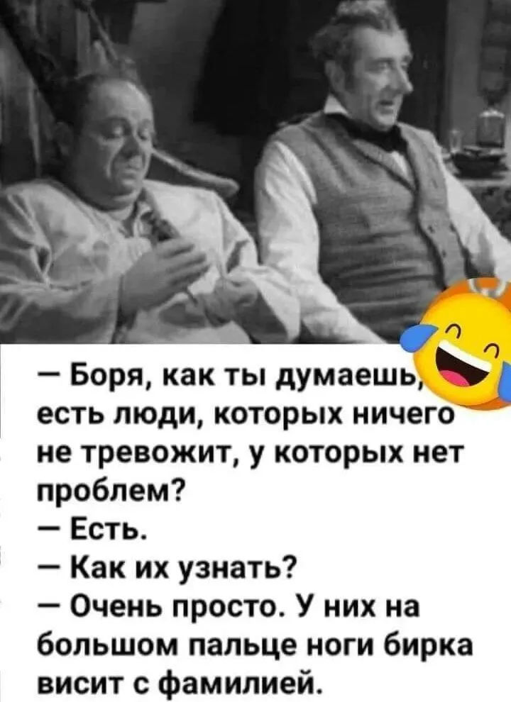 9dc686d02e148168a82f85fcc97c638f-world73.spcs.bio.webp
