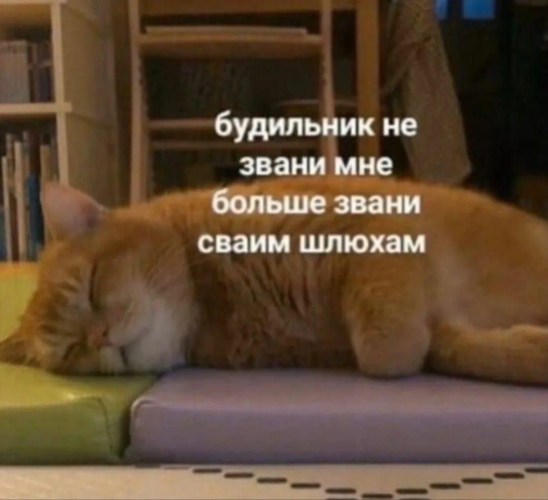 _20201106_151053.webp