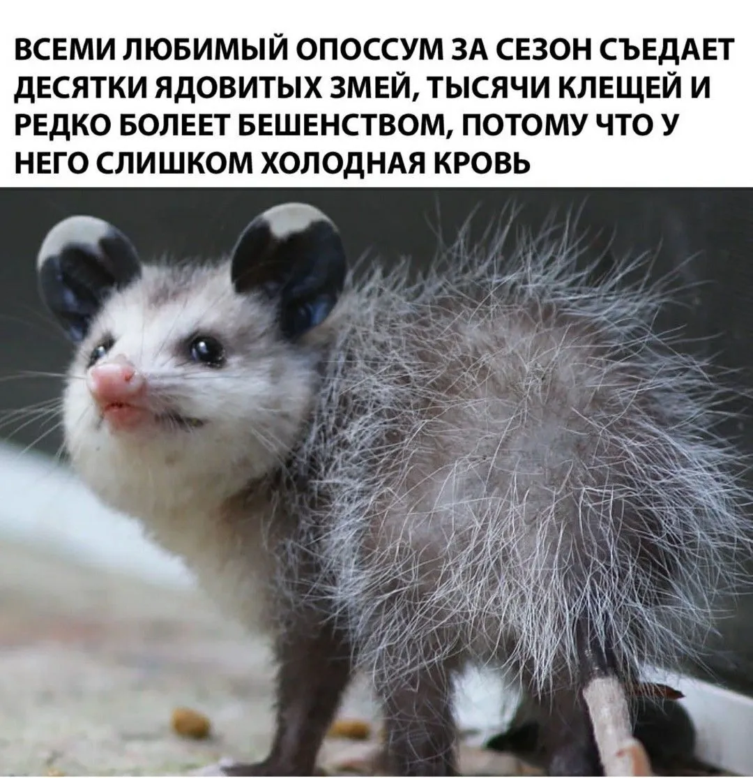 _20201106_170544.webp